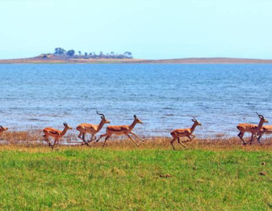 Lake-Kariba