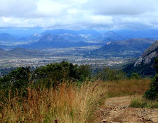 Mutare